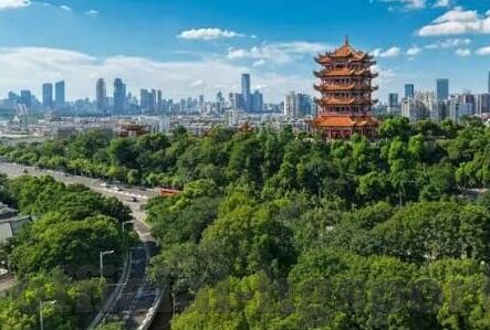 关于世界杯金句-世界杯金句，激情与智慧的碰撞