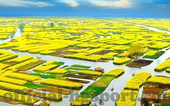 网上百家乐必赢方法-网上百家乐必赢方法，策略与技巧